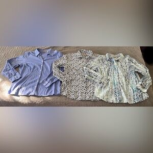 Chico's Bundle 3 Button Down Shirts Vintage Size 2 Large 12 Blue White Cotton